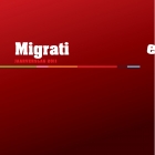 Jaarverslag migratie 2011