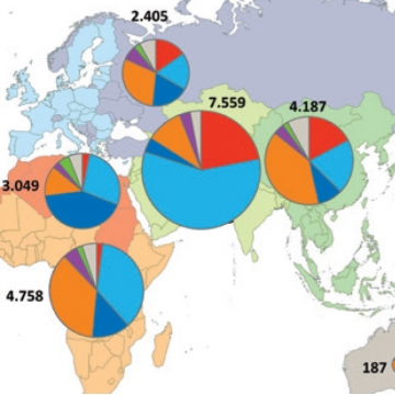 Myriatics 4: La migration en chiffres