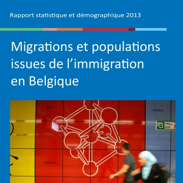 Rapport démographique et statistique 2013